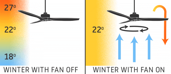 winter fan.png