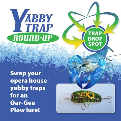 20240226-yabby trap campaign image 1.jpg