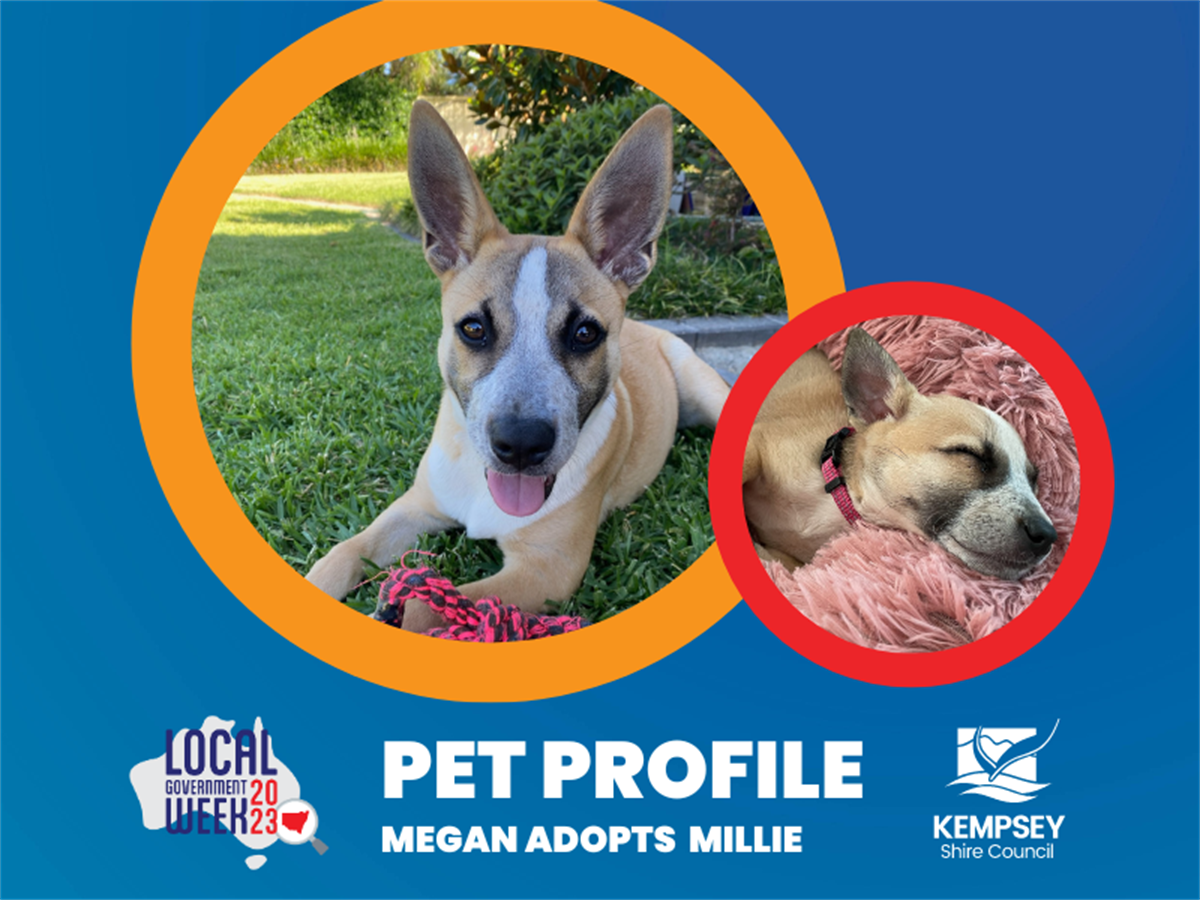 pet-adoption-profile-millie-saved-from-unwanted-litter-the-national