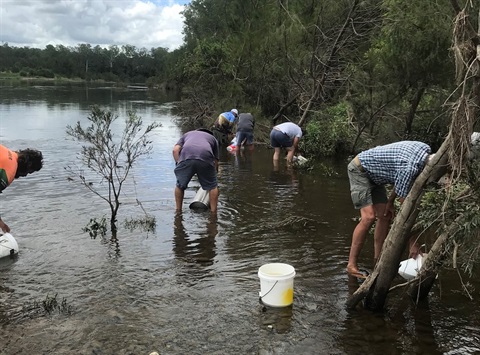 People releasing bass