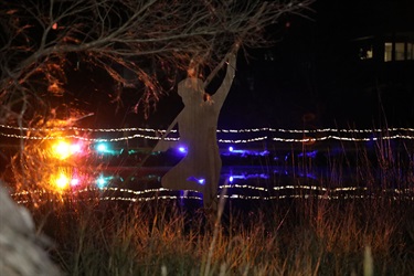 Brighton Park was lit up in lights…and smiles!