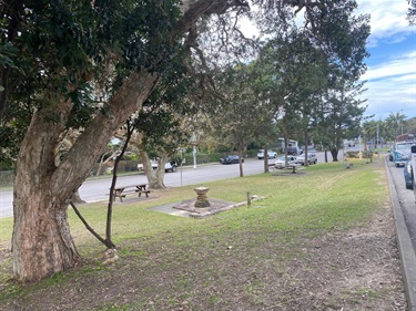 Lloyd Park trees and seating