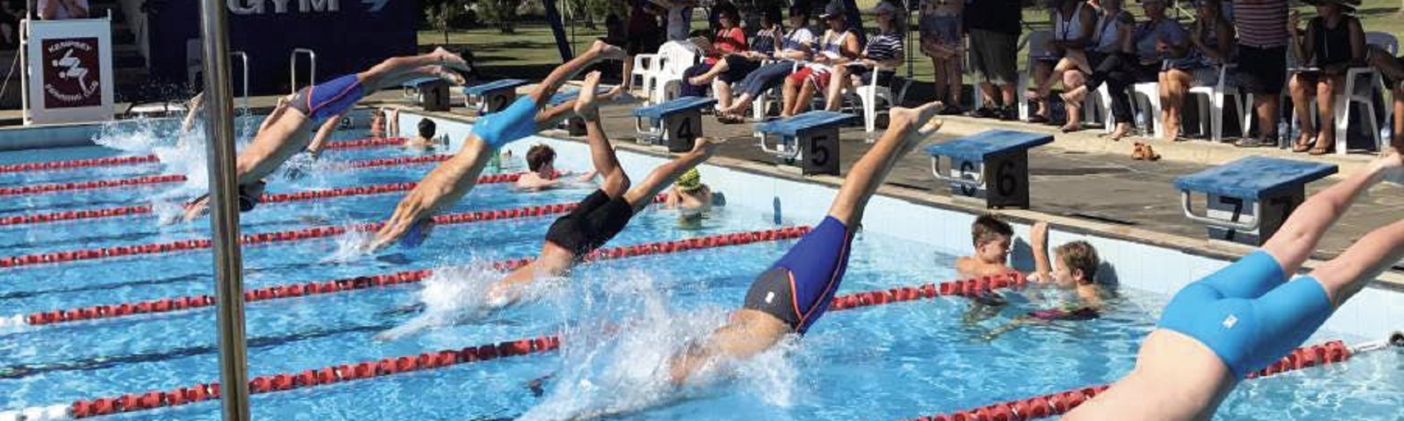 people diving into a pool