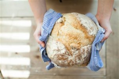 Library-Sourdough