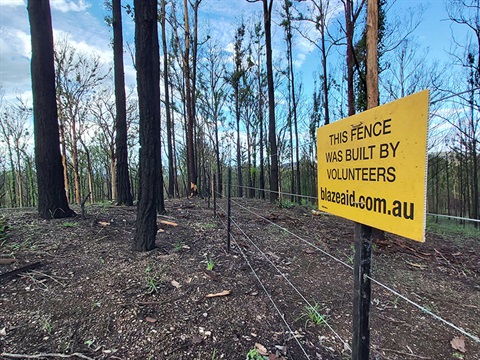 A fence rebuilt by Blaze Aid