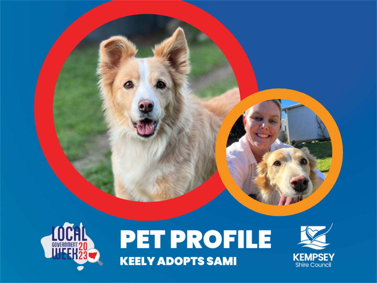 Pet adoption profile when Keely met Sami Kempsey Shire Council