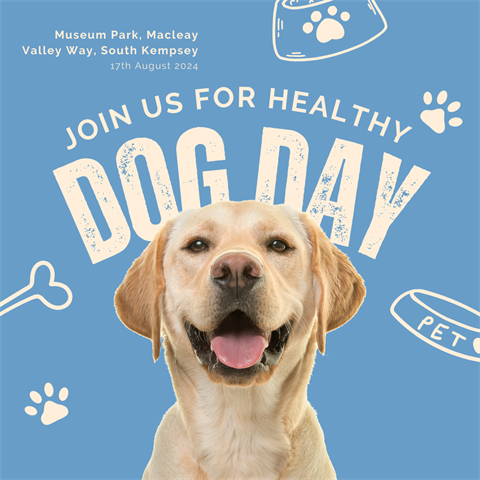 080824-HealthyDogDay