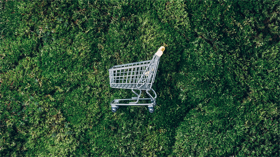 Sustainable purchasing shopping cart on grass