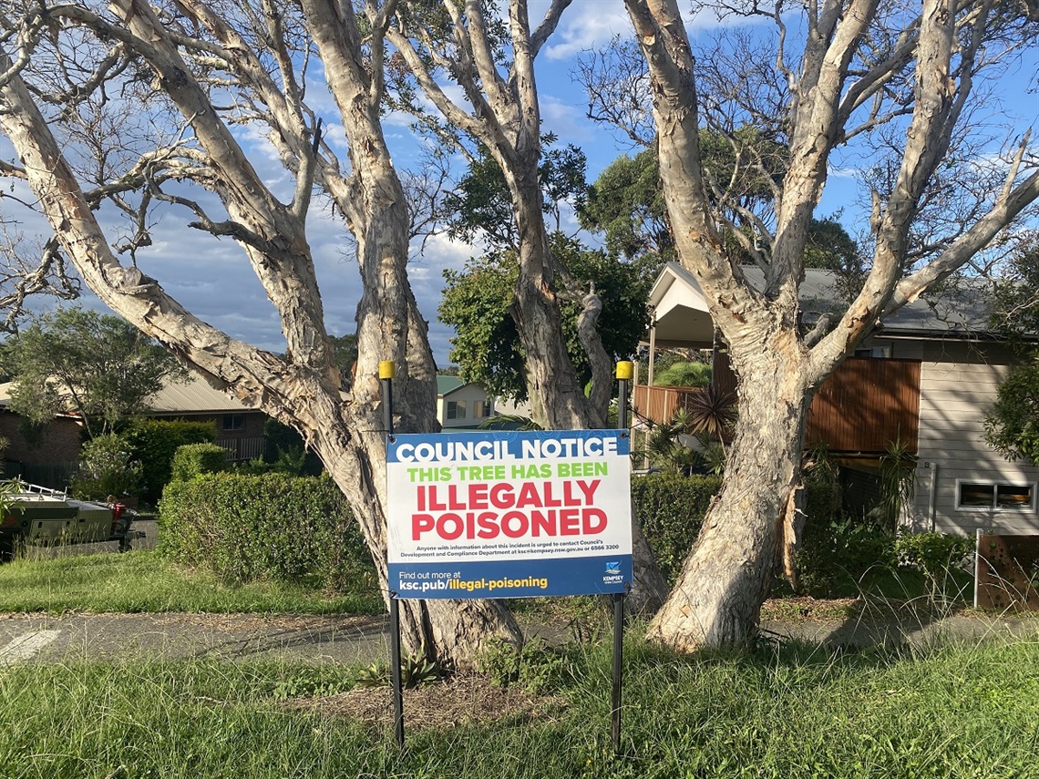 a sign saying a tree has been illegally poisoned