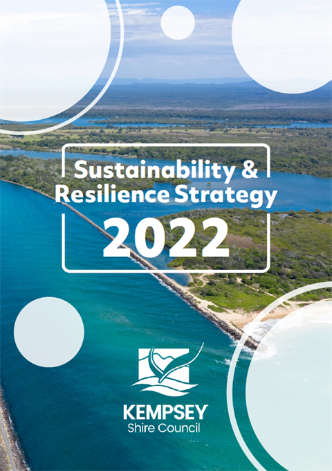 Cover Image S&R Strategy 2022.png