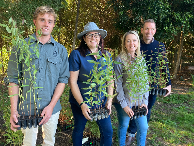 four people holding tree saplings