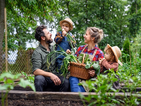 Sustainable agriculture