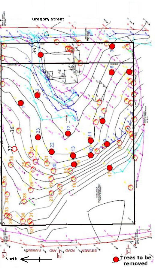 Figure D4-2: Tree Location Diagram