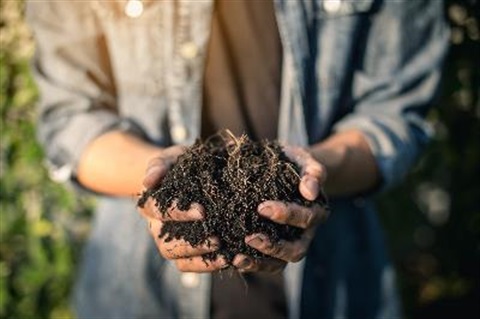 compost in hands