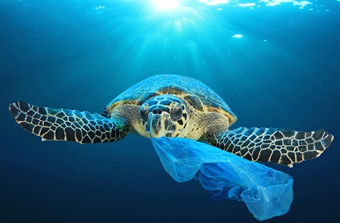 Lightweight plastic shopping bags banned from 1 June