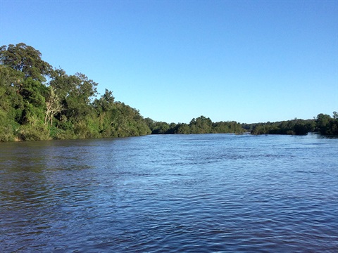 The Macleay River seen from Sherwood Bridge