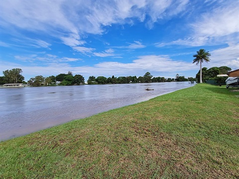 Macleay River at Smithtown 3.45pm 8 March 2022