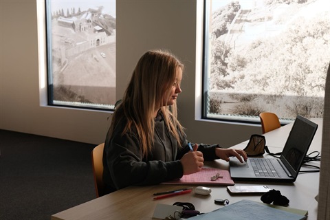 A student studying