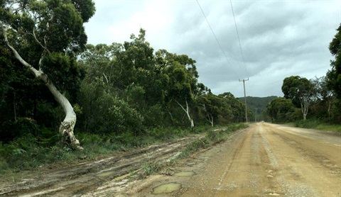 Point-Plomer-Road.jpg