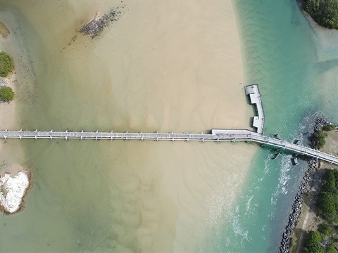 Back Creek Footbridge - 800px.jpg