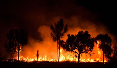 20240805-bushfire stock image